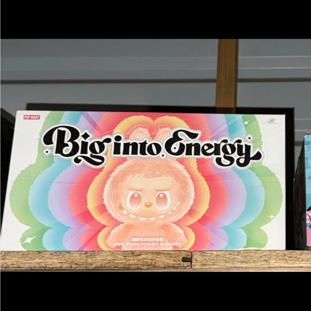 Big Into Energy LaBuBu Vinyl Plush Pendant Blind Box New In Box